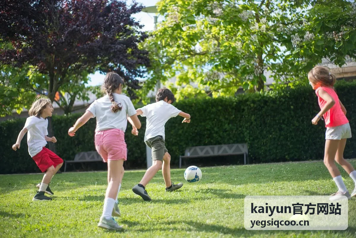 kaiyun官方网站客户端下载与安装说明