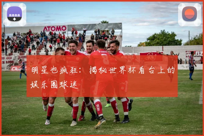 明星也疯狂：揭秘世界杯看台上的娱乐圈球迷