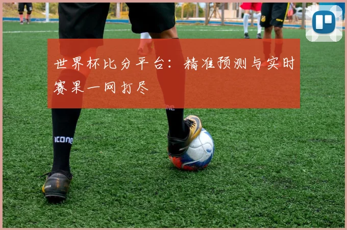 世界杯比分平台：精准预测与实时赛果一网打尽