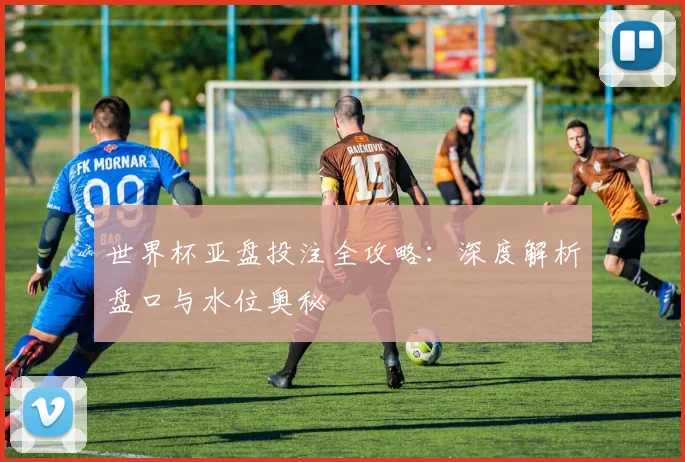 世界杯亚盘投注全攻略:深度解析盘口与水位奥秘
