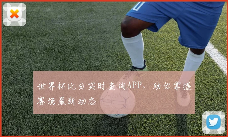 世界杯比分实时查询APP，助你掌握赛场最新动态