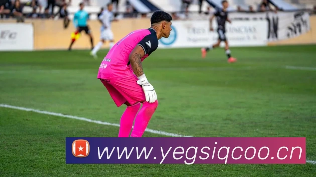 美国NBA官网独家专访：揭秘总冠军背后的训练与科技